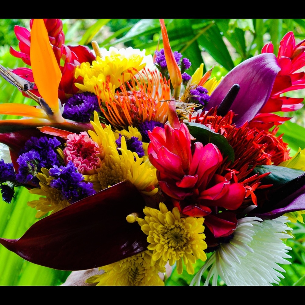 Meet your Posher, Chelsy